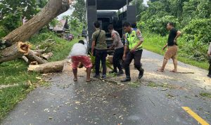 IMG-20240128-WA0003_sOGtgPcV9A